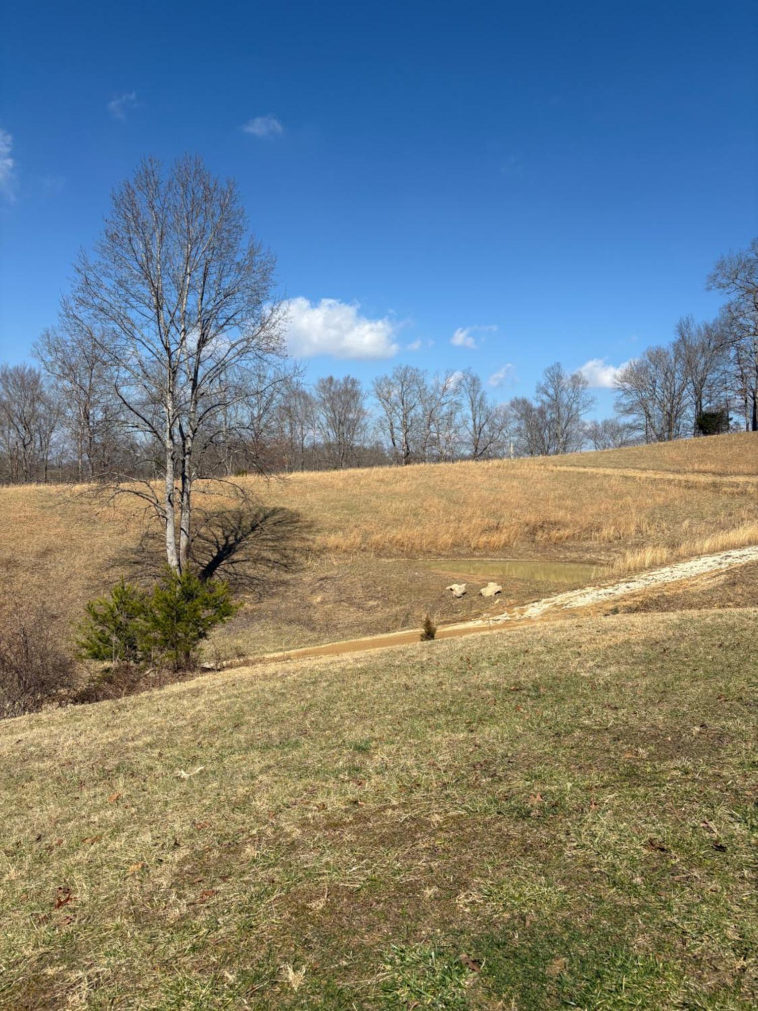Private Cabin-Country Setting-Views-2 Bd 1 Ba Sleeps 6-8 Beattyville Exterior foto